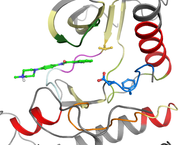 The orthosteric binding pocket