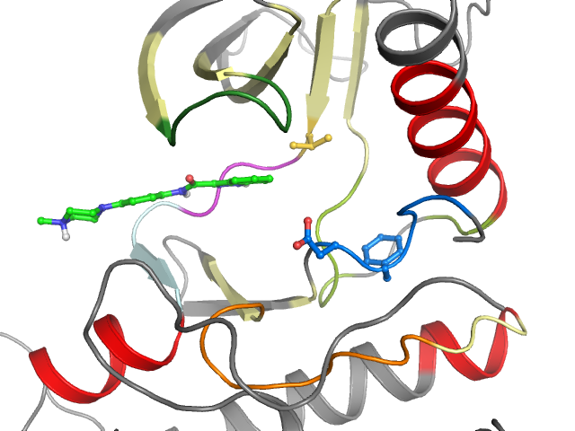 The orthosteric binding pocket