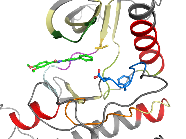 The orthosteric binding pocket