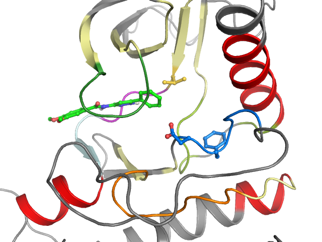 The orthosteric binding pocket