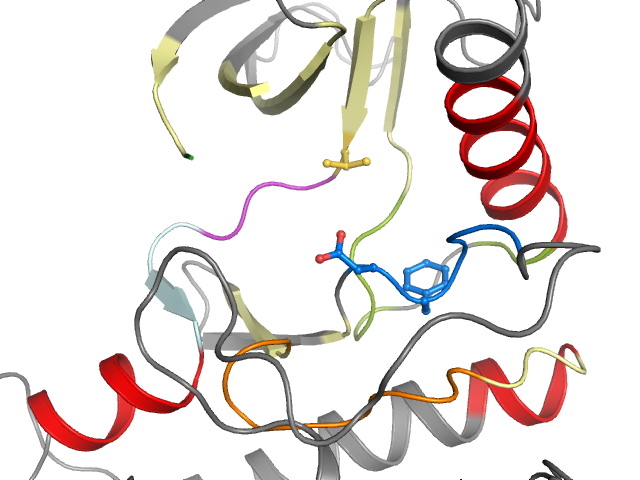 The orthosteric binding pocket