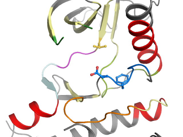 The orthosteric binding pocket
