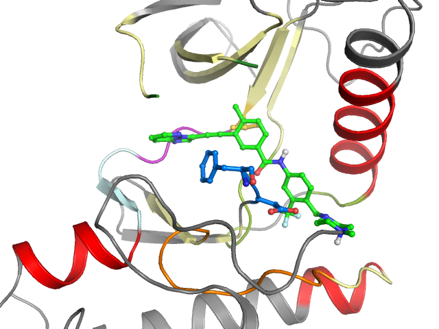 The orthosteric binding pocket