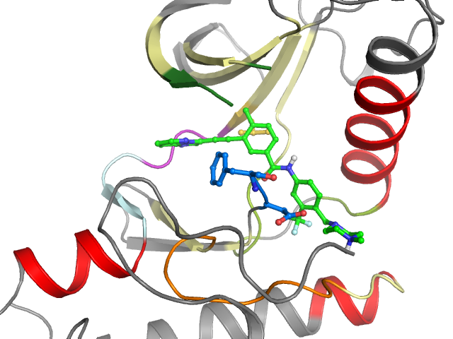 The orthosteric binding pocket