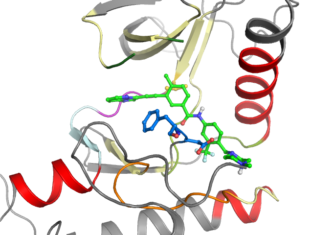 The orthosteric binding pocket