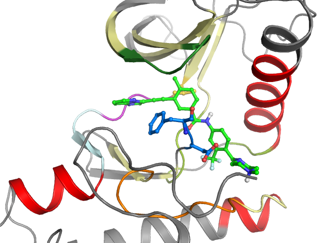 The orthosteric binding pocket