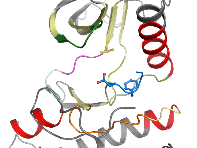The orthosteric binding pocket