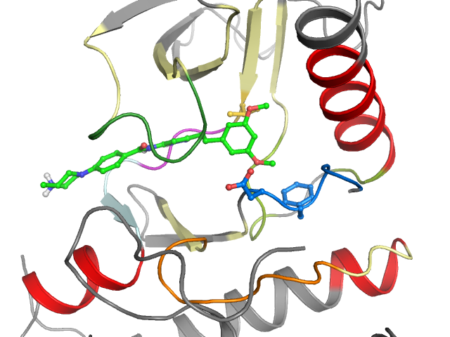 The orthosteric binding pocket