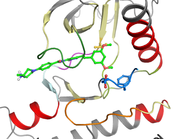 The orthosteric binding pocket