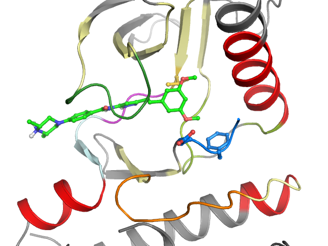 The orthosteric binding pocket