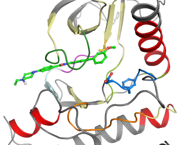 The orthosteric binding pocket