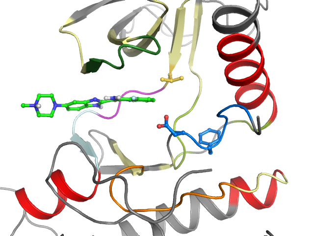 The orthosteric binding pocket