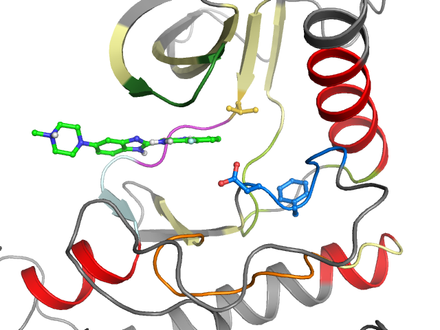 The orthosteric binding pocket