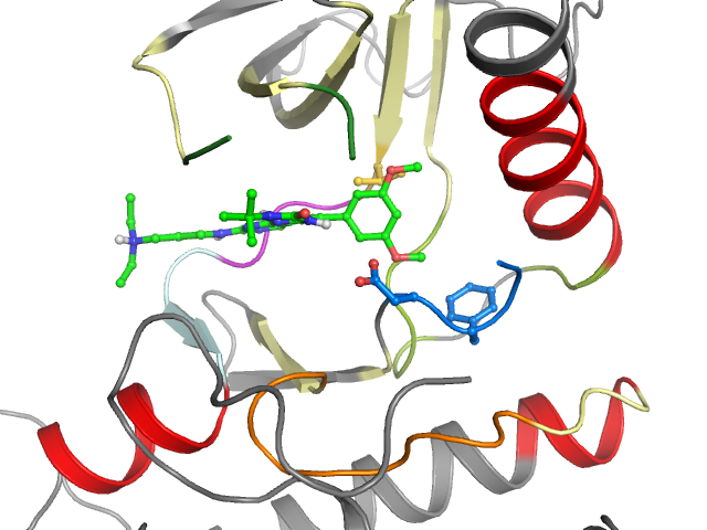 The orthosteric binding pocket