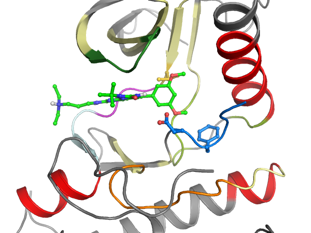 The orthosteric binding pocket