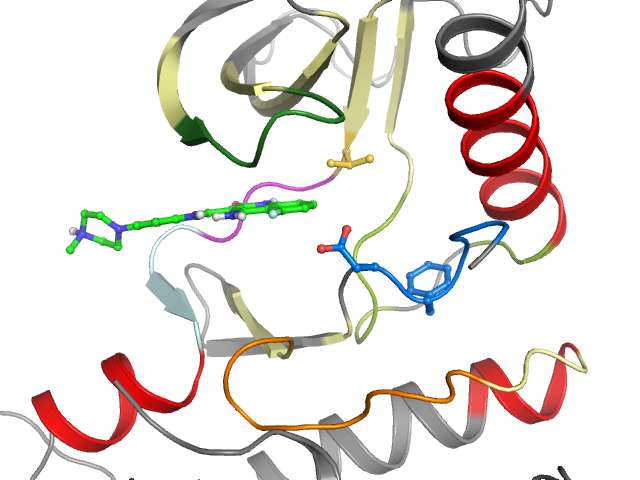 The orthosteric binding pocket