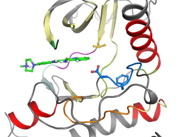 The orthosteric binding pocket