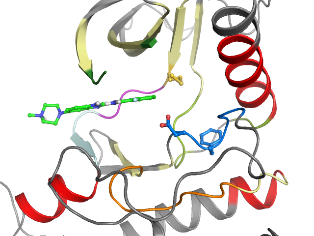 The orthosteric binding pocket