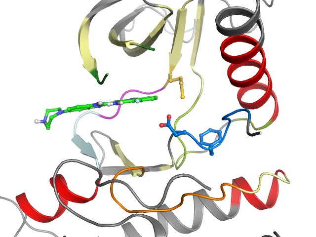 The orthosteric binding pocket