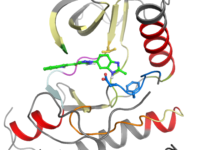 The orthosteric binding pocket
