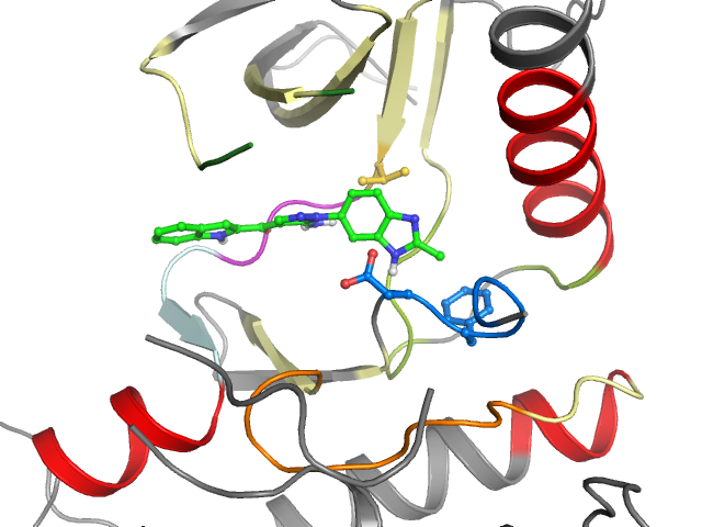 The orthosteric binding pocket