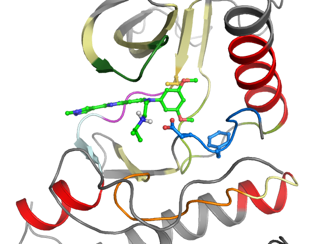 The orthosteric binding pocket