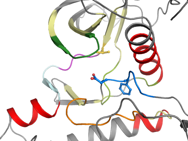 The orthosteric binding pocket