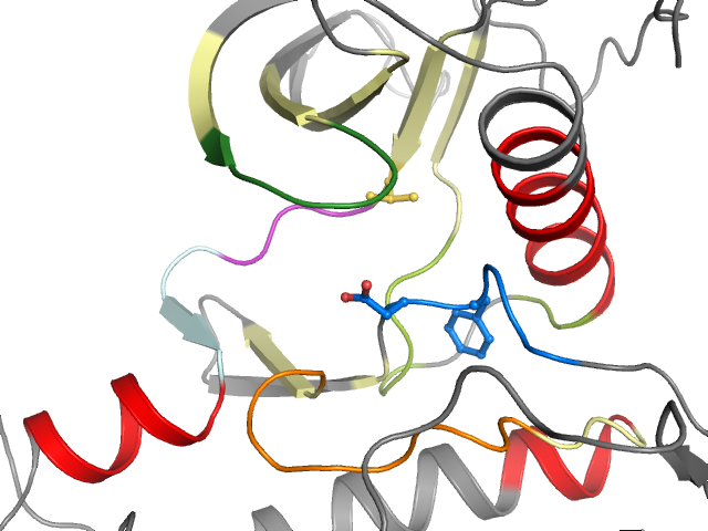 The orthosteric binding pocket
