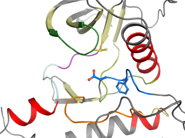 The orthosteric binding pocket