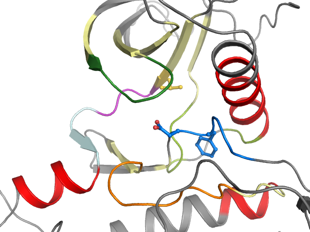 The orthosteric binding pocket