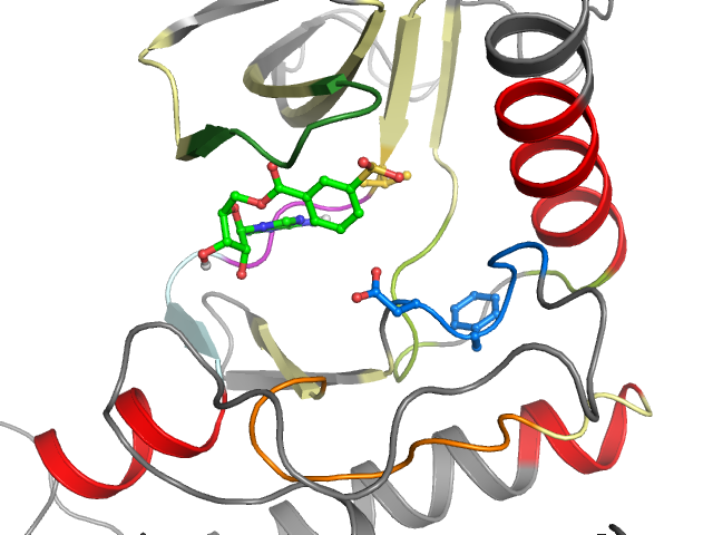 The orthosteric binding pocket