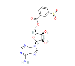 2D structure of the orthosteric ligand