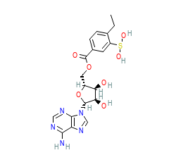2D structure of the orthosteric ligand