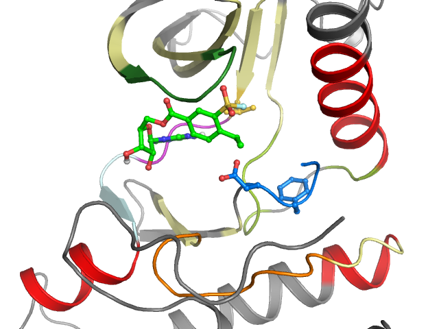 The orthosteric binding pocket