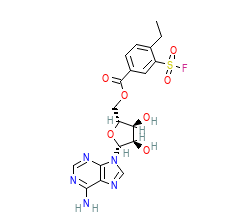 2D structure of the orthosteric ligand