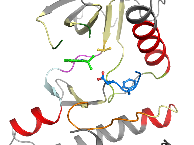 The orthosteric binding pocket