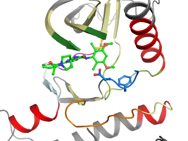 The orthosteric binding pocket