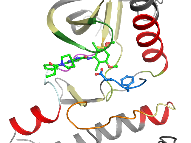 The orthosteric binding pocket