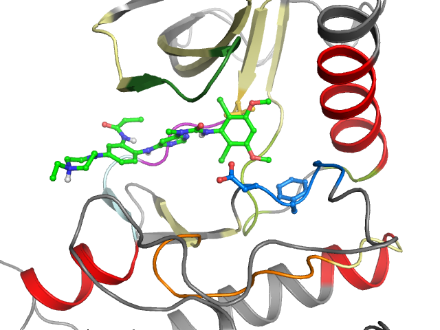 The orthosteric binding pocket