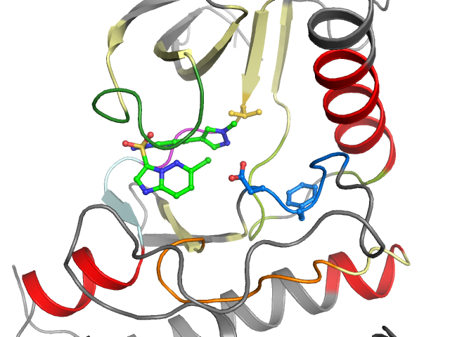 The orthosteric binding pocket
