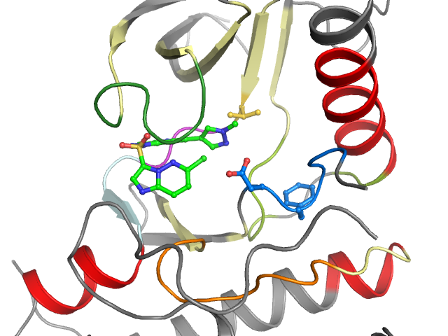 The orthosteric binding pocket