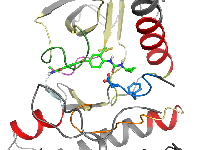 The orthosteric binding pocket