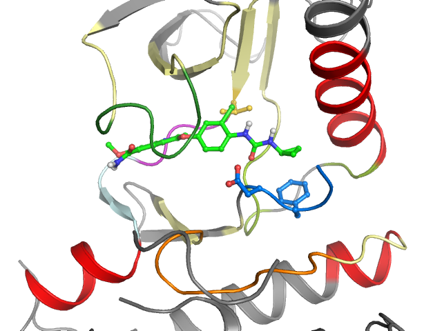 The orthosteric binding pocket