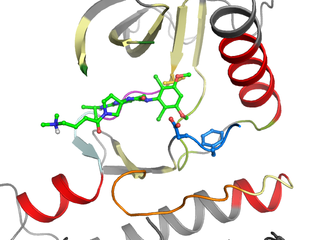 The orthosteric binding pocket