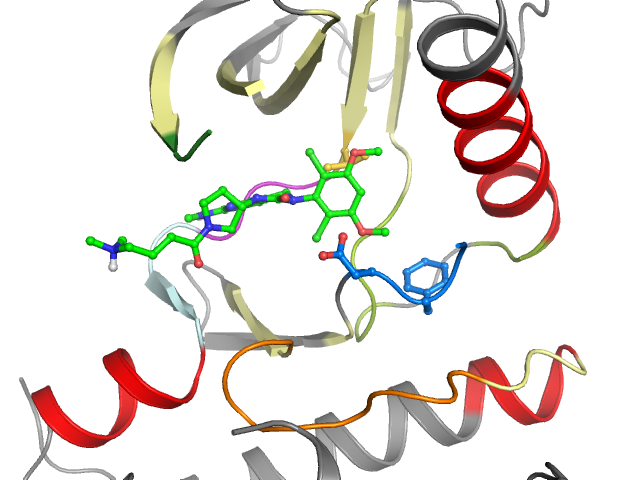 The orthosteric binding pocket