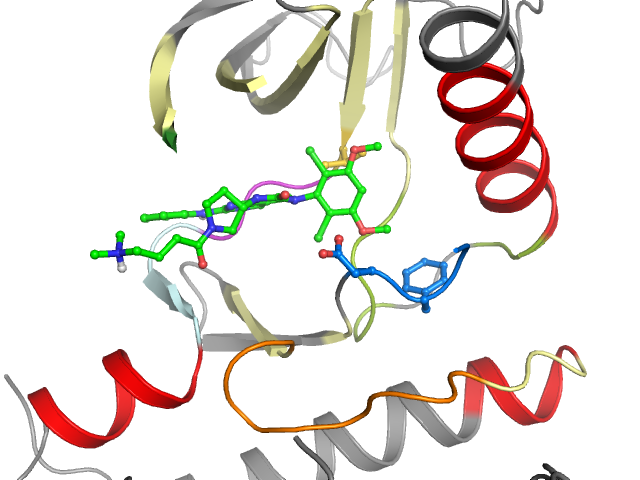 The orthosteric binding pocket