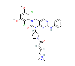 2D structure of the orthosteric ligand