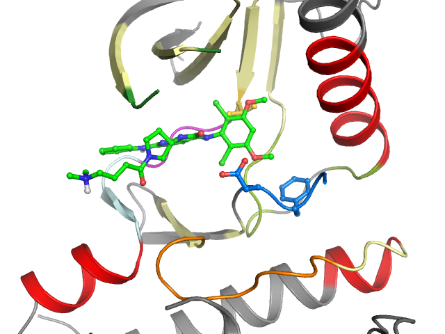 The orthosteric binding pocket