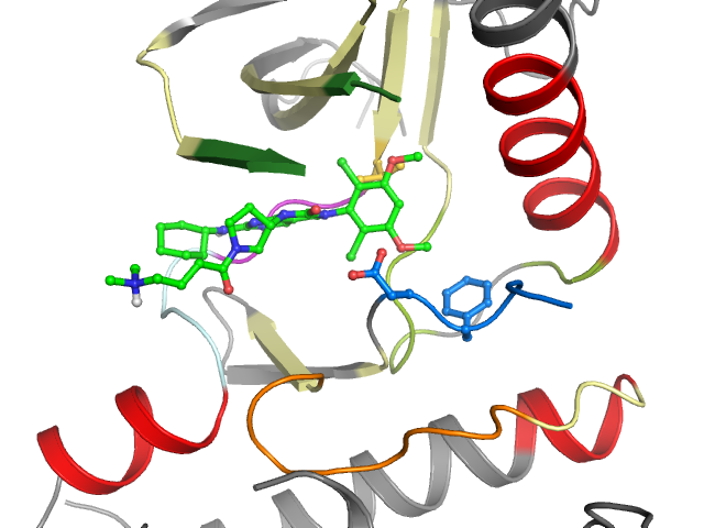 The orthosteric binding pocket