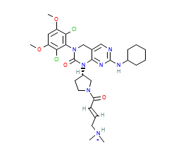 2D structure of the orthosteric ligand